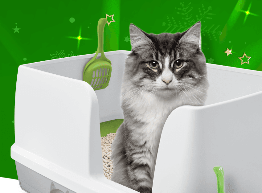 Purina Interlude Image