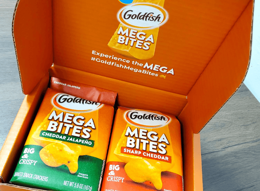 Campbell Goldfish Reboot Case Study Interlude Image